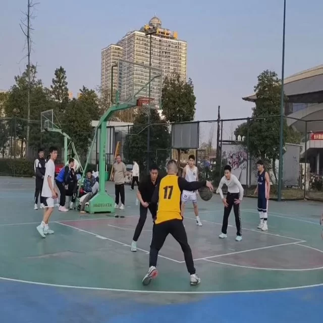 年轻化视角解析运动员复出最新动态